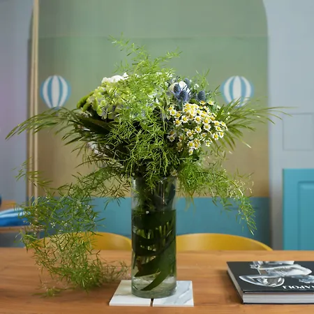 Rettifilo 311 Affittacamere Napoli